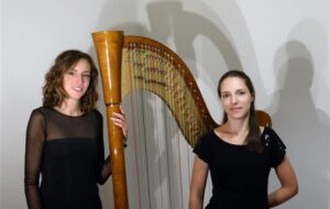 CONCERTO D’ARPE AL SARTORIO