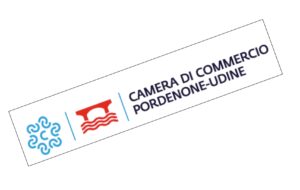 CCIAA PN-UD SELEZIONA UN PROFILO TECNICO