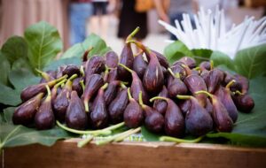 IN CAMPAGNA COL FIGOMORO