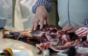 AVVIATO IN REGIONE IL PROGETTO “SELVATICI E BUONI”