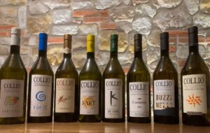 CONSORZIO TUTELA VINI DOC COLLIO: VERSO UN NUOVO VINO BIANCO