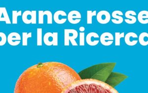 AIRC E DESPAR: LE ARANCE ROSSE DELLA RICERCA SUGLI SCAFFALI