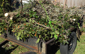 GESTIONE RIFIUTI DA POTATURA: DA RIFIUTO SPECIALE A RIFIUTO URBANO