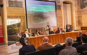 IL CONSORZIO TUTELA VINI FRIULI COLLI ORIENTALI E RAMANDOLO PRESENTA “LE STAGIONI E LE UVE” CON IL SUPPORTO DELL’AI