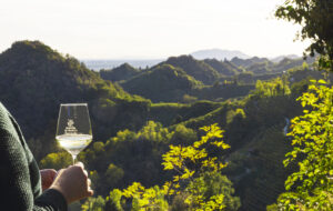 VENETO – LA PRIMAVERA DEL PROSECCO