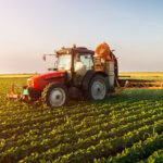 VENETO – AGRICOLTURA: MENO PRODUZIONE MA FATTURATO IN CRESCITA