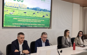 FVG – AGRICOLTURA, ULTIMO ANNO IN CALO MA PIÚ OCCUPATI