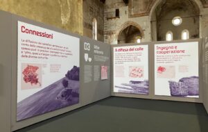 FVG – Dal 17 al 29 giugno la mostra “Cooperare e distinguersi” a Udine