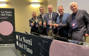 FVG – NOTTI DEL VIBO IN FVG, PRESENTATO IL PROGRAMMA PER L’ESTATE