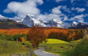 VENETO – PROGETTO MAB UNESCO PER IL CANSIGLIO