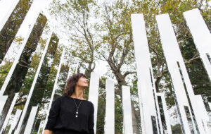 FVG – VILLA MANIN: ARCHITETTURE TRASPARENTI