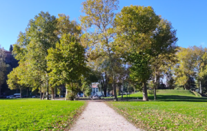 FVG – LA MAPPA INTERATTIVA PER SCOPRIRE LE NUOVE PIANTUMAZIONI A UDINE