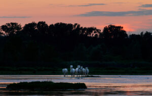 FVG – IN PELLEGRINAGGIO SOTTO LE STELLE A GRADO E BARBANA