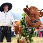 SLOVENIA – BOHINJ : IL 21.09 IL 66ª BALLO DELLE MUCCHE