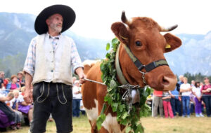 SLOVENIA – BOHINJ : IL 21.09 IL 66ª BALLO DELLE MUCCHE