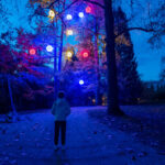 SLOVENIA – ARBORETO FESTIVO