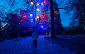 SLOVENIA – ARBORETO FESTIVO