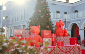 FVG – WEEKEND DI MAGIA A PALMANOVA DESIGNER VILLAGE