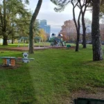 UDINE – AVVIATE LE PIANTUMAZIONI 2026, OLTRE 700 NUOVI ALBERI IN CITTÀ