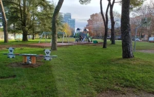 UDINE – AVVIATE LE PIANTUMAZIONI 2026, OLTRE 700 NUOVI ALBERI IN CITTÀ