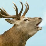 FVG – DARWIN DAYS 2026, CONNESSIONI EVOLUTIVE