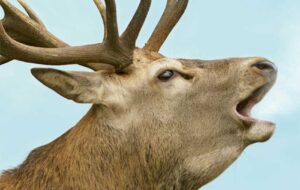 FVG – DARWIN DAYS 2026, CONNESSIONI EVOLUTIVE