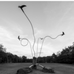 UNA RONDINE VOLA IN FRIULI