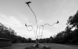 UNA RONDINE VOLA IN FRIULI