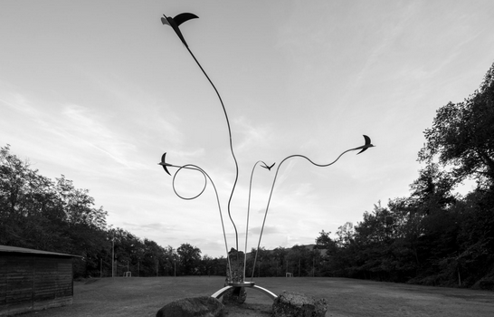 UNA RONDINE VOLA IN FRIULI