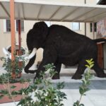 MUSEI CIVICI DI PORDENONE: APERTURE STRAORDINARIE PER PASQUA, PASQUETTA, 25 APRILE